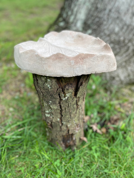 Leaf birdbath