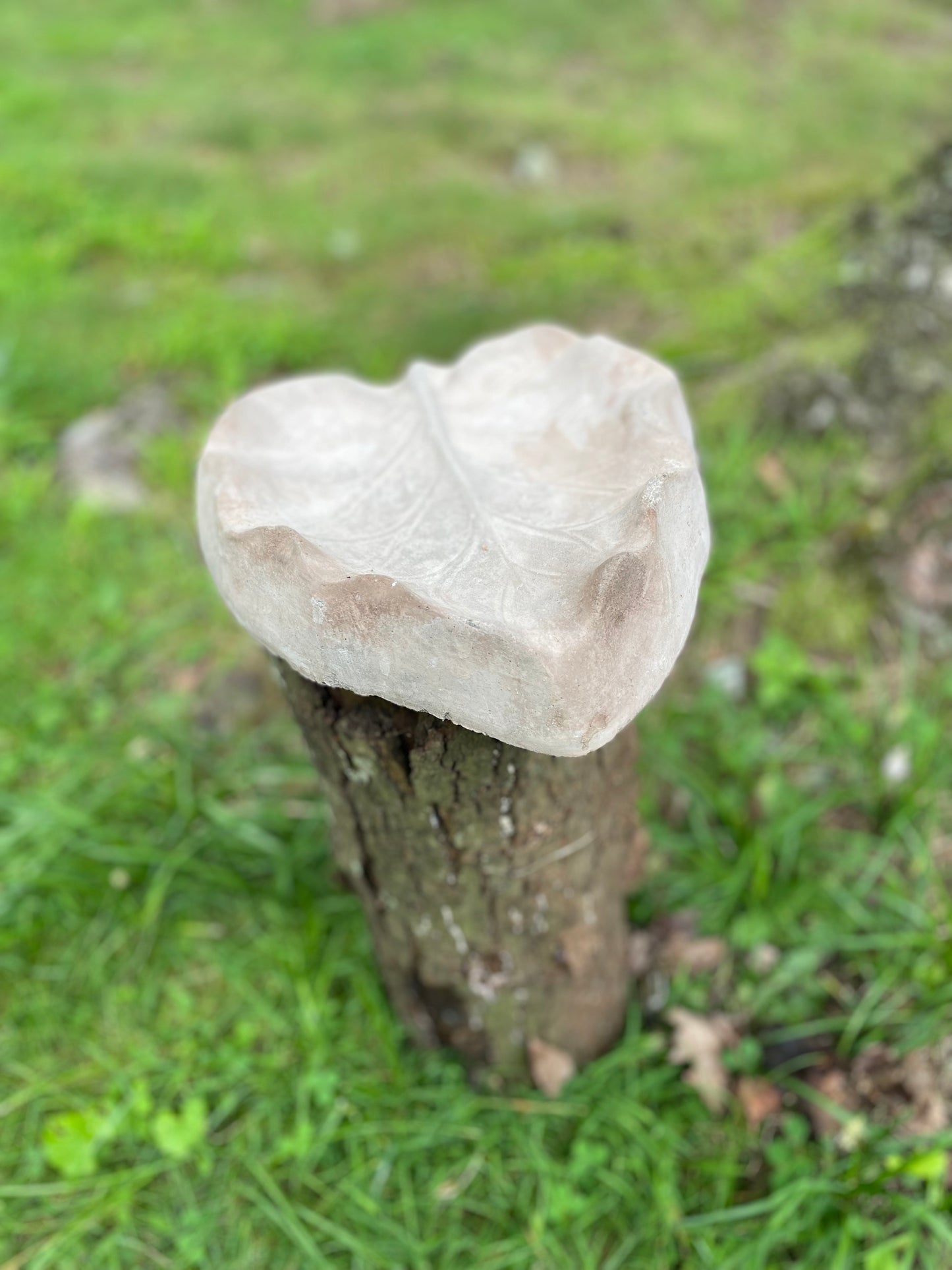 Leaf birdbath