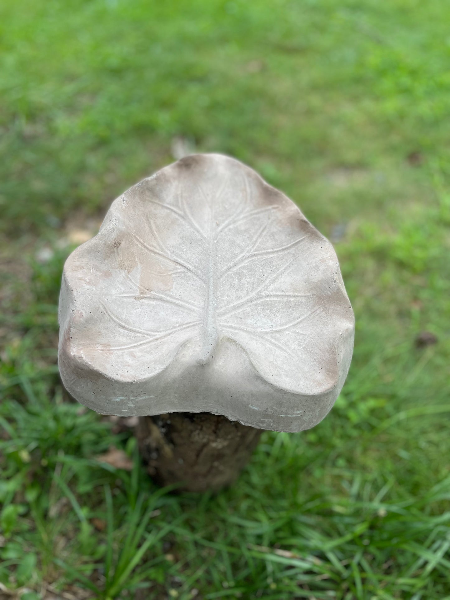 Leaf birdbath