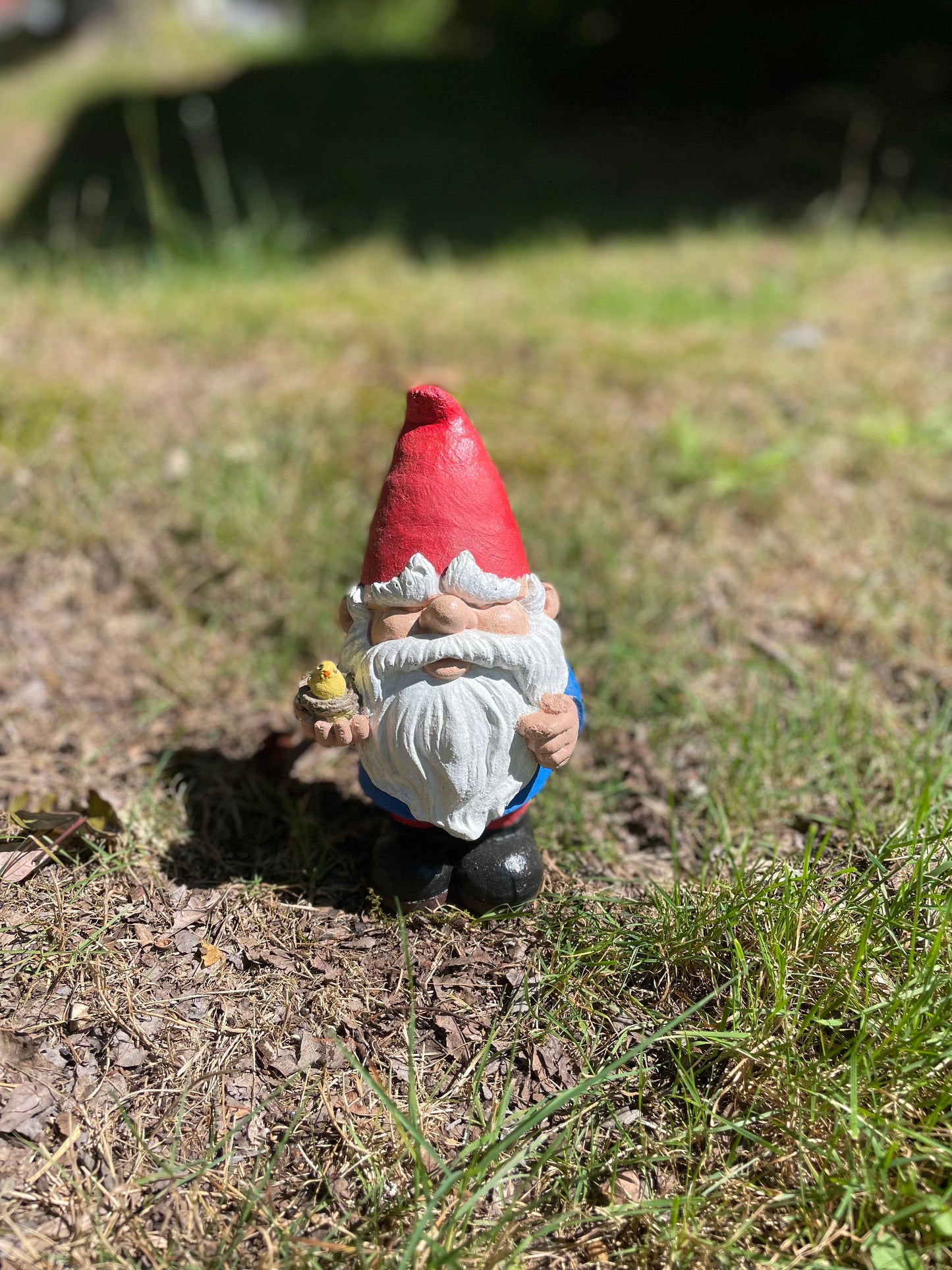 Gnome with bird