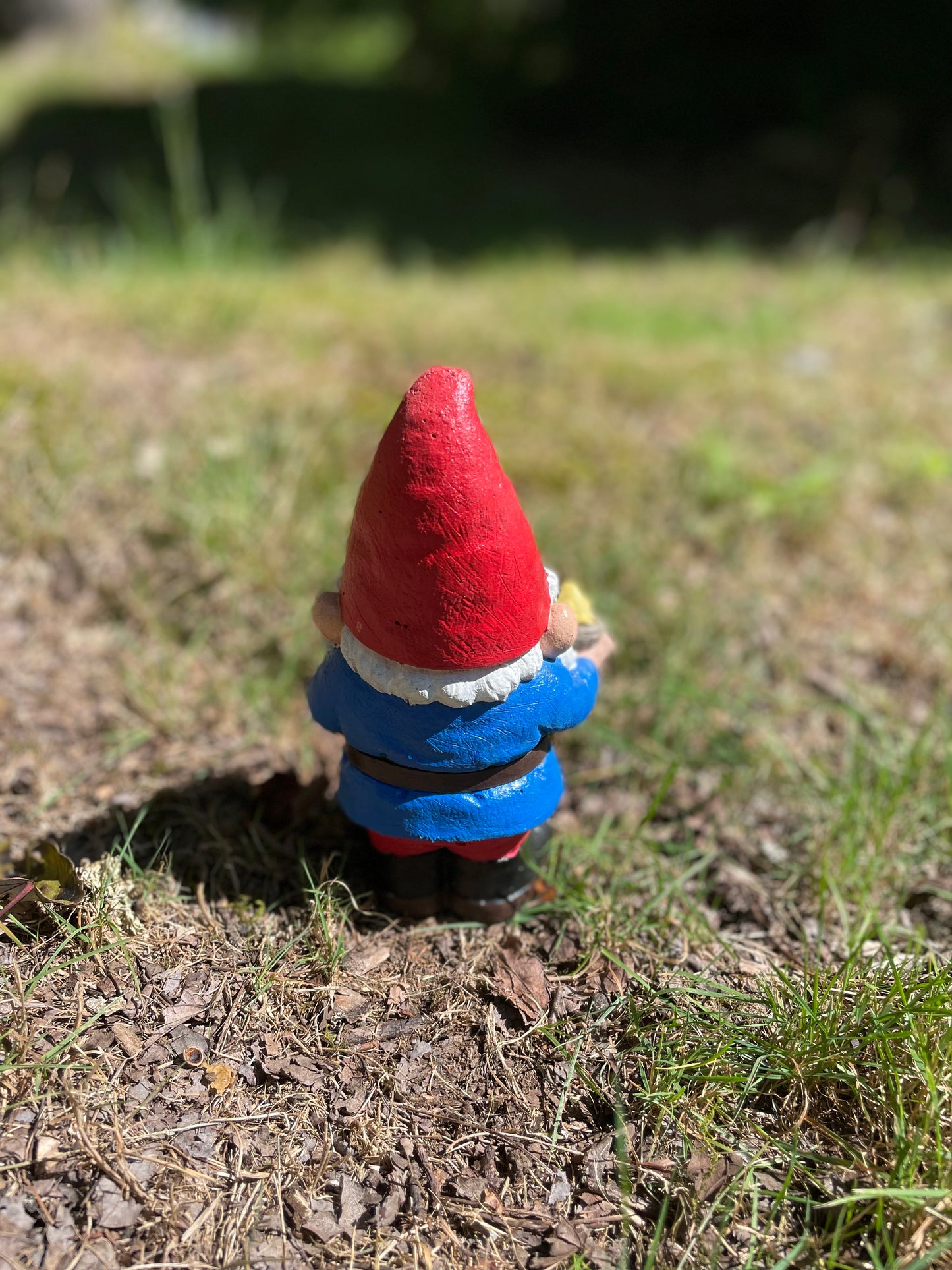 Gnome with bird