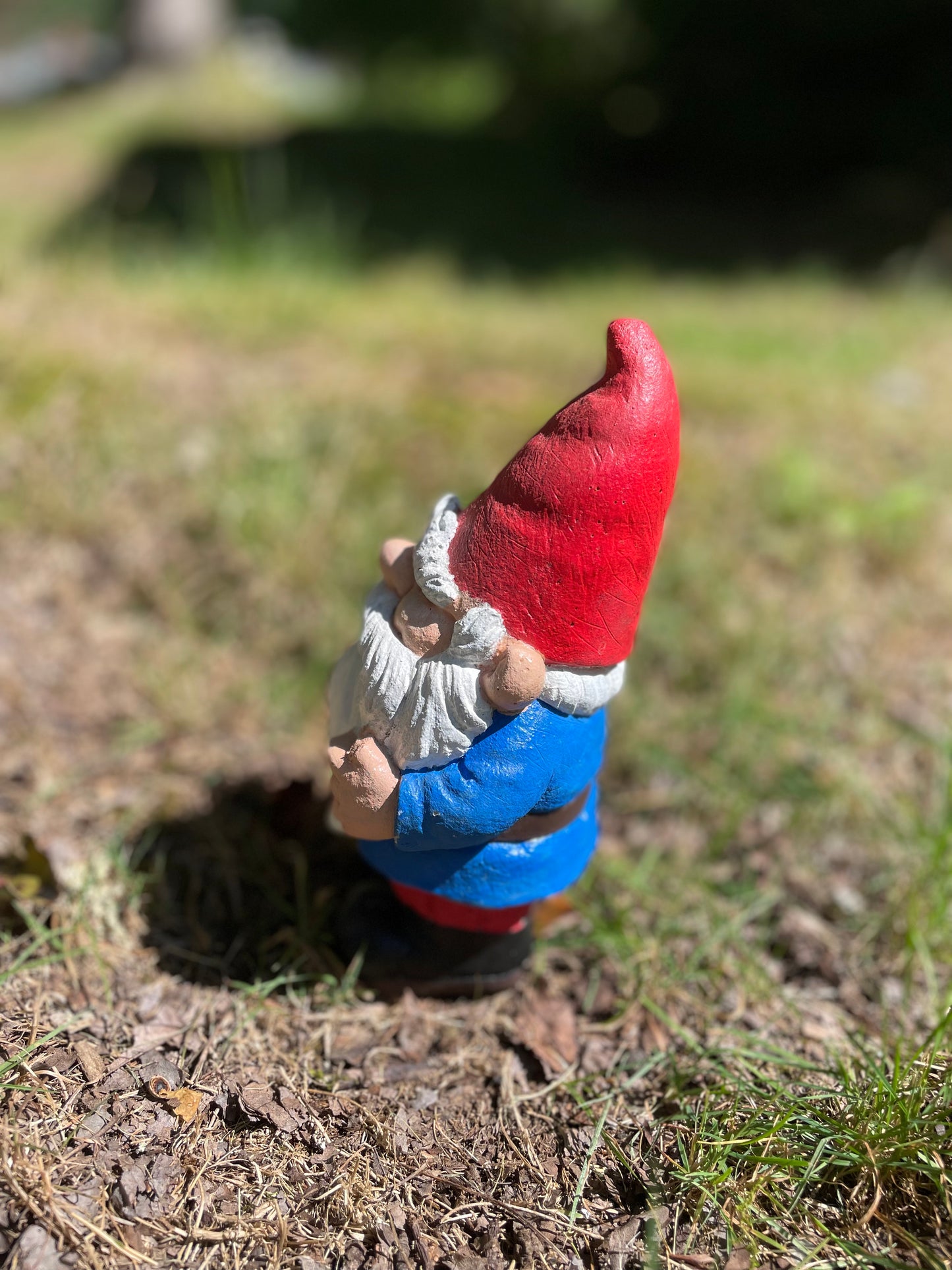 Gnome with bird