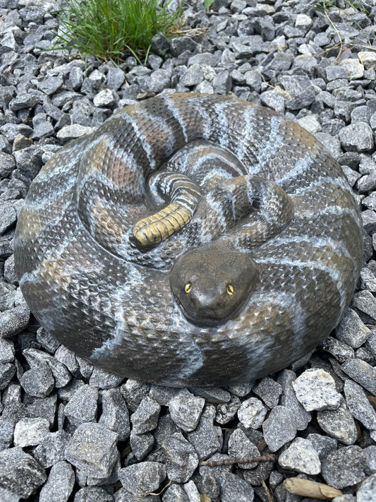 Rattlesnake