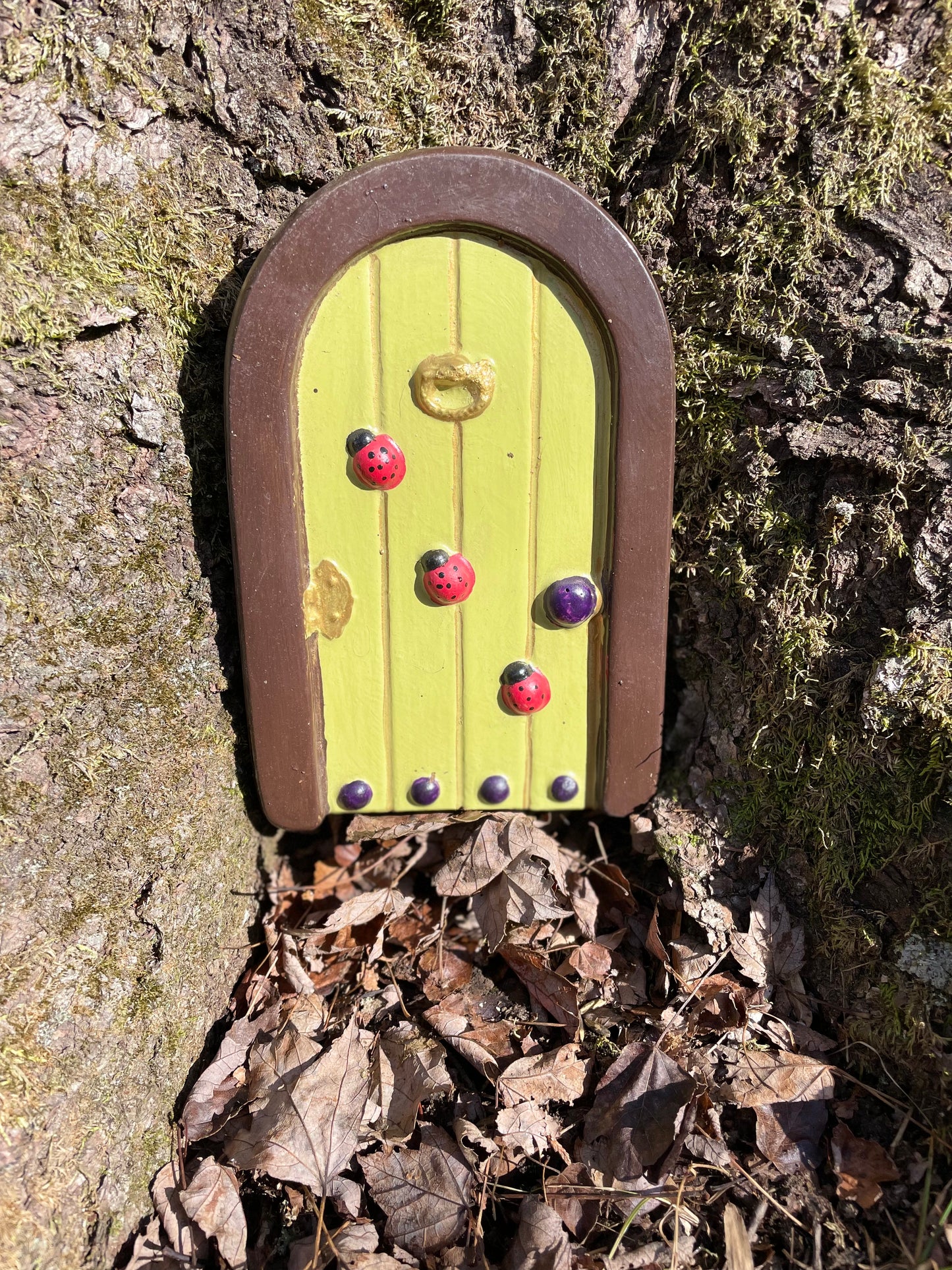 Fairy Door-Painted