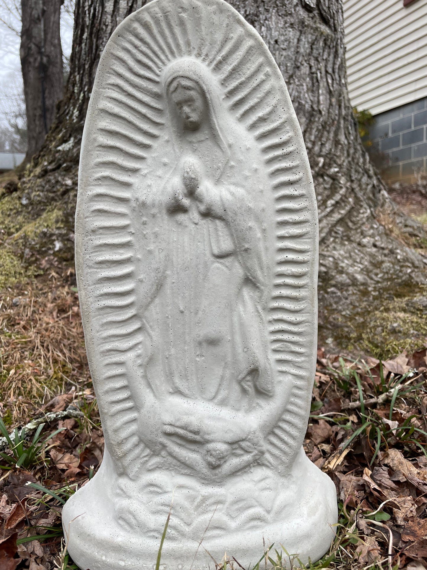 Our Lady of Guadalupe