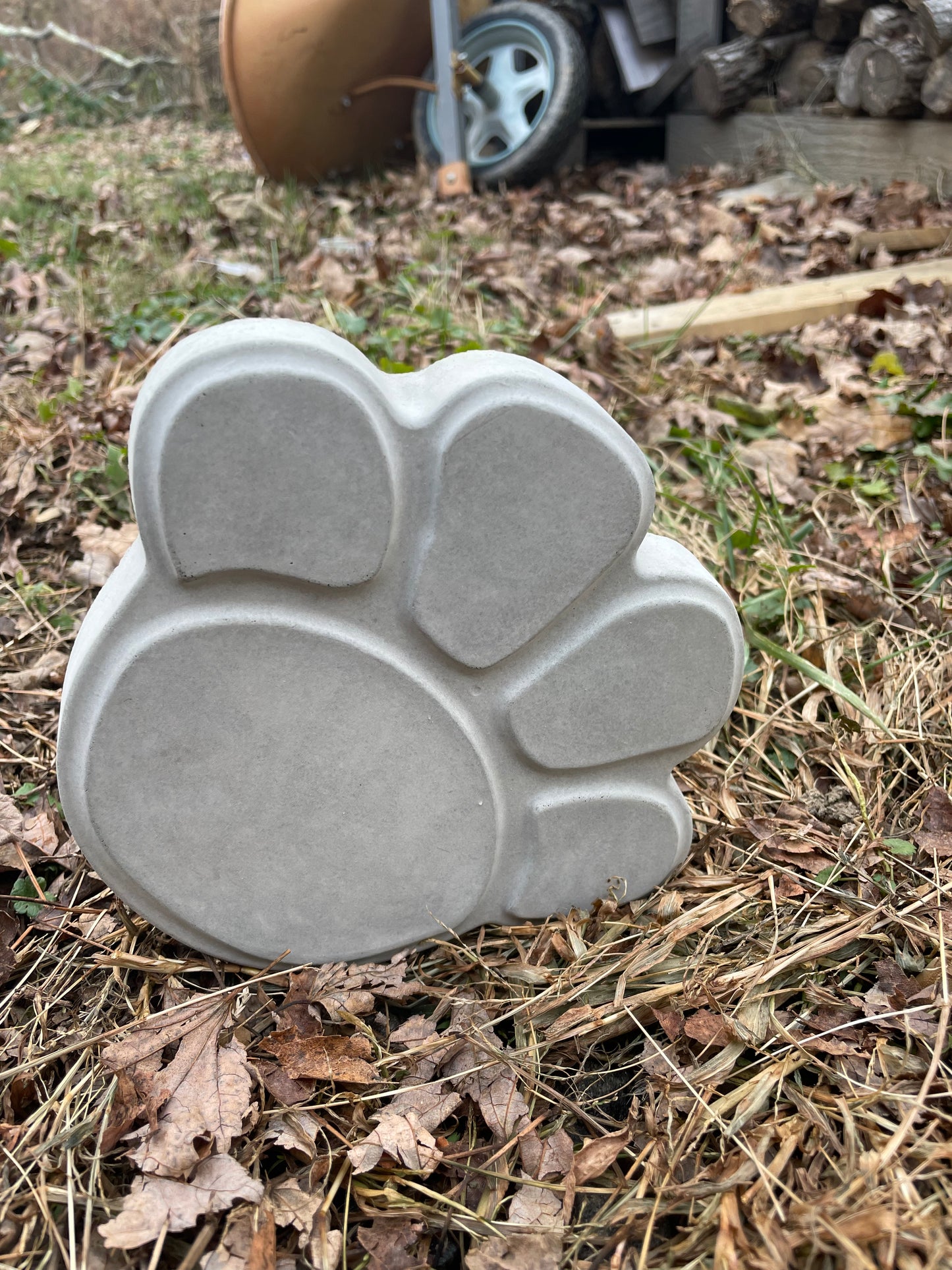 Paw Print